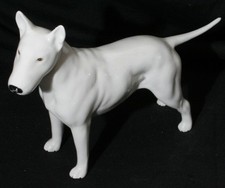 bullterrier bull terrier for sale bullterrier bull terrier for sale WHITCHURCH