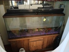 Large fish tank for sale  Nashville