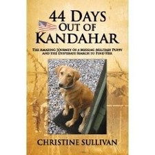 Days kandahar amazing for sale  Feasterville Trevose