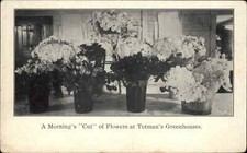 Greenhouse flowers vases for sale  South Portland