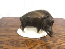 Russian wild boar for sale  GERRARDS CROSS