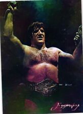 Bruno sammartino 2019 for sale  Standish