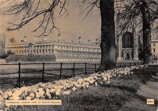 Angleterre cambridge crocus d'occasion  France
