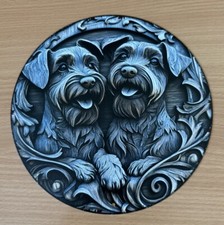 miniature schnauzer dog for sale miniature schnauzer dog for sale SPALDING