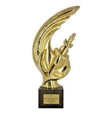 Riconoscimento generale lamber usato Riconoscimento generale lamber usato  Roma