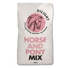 Hilight horse pony for sale  MANCHESTER