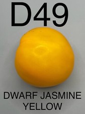 Graine seed tomate d'occasion Graine seed tomate d'occasion  La Pacaudière