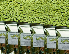 100g hops citra for sale  GLASGOW