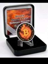 Silber maple leaf gebraucht kaufen  Coburg