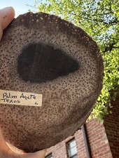 Vtg palm agate for sale  Highland Park