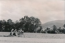 Allemagne 1940 agriculteurs d'occasion  Ballon