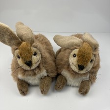 Brown bunny rabbit for sale  Bryan