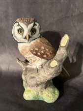 Porcelana vintage Boehm coruja boreal coleção corujas americanas, usado comprar usado  Enviando para Brazil