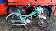 Testi 1960 1970 usato  Foggia