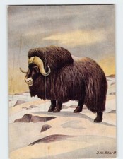 Postcard musk painting for sale  Almond