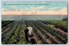 Montana postcard garden for sale  Terre Haute