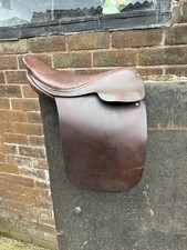 14.5 inch show for sale  DRONFIELD