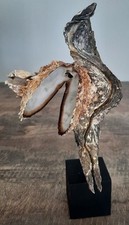 Curiosity taxidermy shell d'occasion  Expédié en Belgium