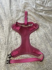 Fuschia pink dog for sale  WESTERHAM