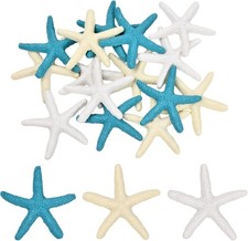 Pezzi stelle marine usato  Italia