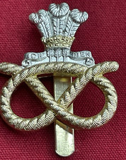 Staffordshire regiment british for sale  DORKING