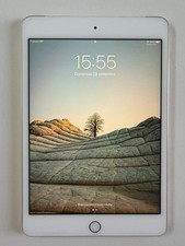 Apple ipad mini usato  Paderno Dugnano
