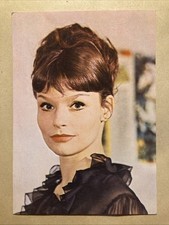 Angelica domröse stella usato  Spedire a Italy