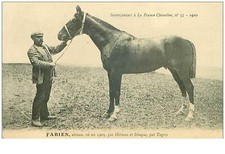 Hippisme. 35990.fabien.alezan  d'occasion  France