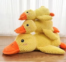 Beruhigendes enten haustier gebraucht kaufen  Geilenkirchen