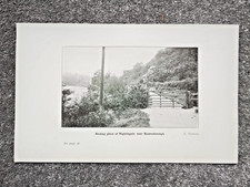 Nightingale nesting knaresboro for sale Nightingale nesting knaresboro for sale  STAFFORD