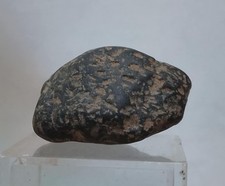Meteorite lunare acondrite usato  Levico Terme