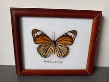Vintage papillon encadré d'occasion  Pontchâteau