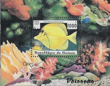 Guinea 1997 1000 d'occasion  Expédié en Belgium