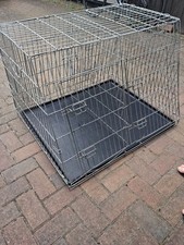 Double large dog for sale  STANFORD-LE-HOPE