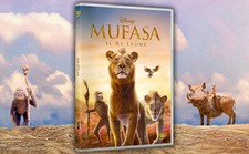 Mufasa dvd nuovo usato  Chieti