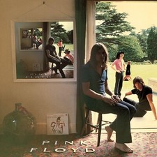 Ummagumma classica pink usato  Castellabate