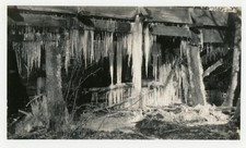 1920s snapshot photo for sale  San Diego