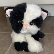 tyco kitty kitty kittens for sale tyco kitty kitty kittens for sale Lake Orion