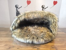Kentucky dogwear luxus gebraucht kaufen  Rauenberg