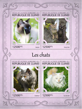 Guinea 2017 gatti usato  Italia