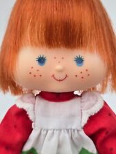 Strawberry shortcake doll for sale  Sandy