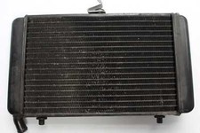 Wasserkühler cooler aprilia gebraucht kaufen  Trebbin