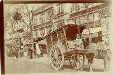Circa 1905 horse d'occasion  Expédié en Belgium