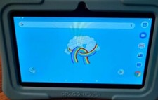 Dragon touch y88x gebraucht kaufen  Aiterhofen