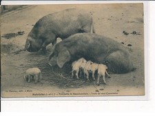 Autreche porcherie beaumarchai d'occasion Autreche porcherie beaumarchai d'occasion  France