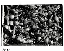 Press photo lures for sale  Memphis