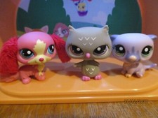 Petshop trio chouette d'occasion  Saint-Omer