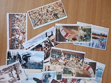 Schneller höher bilder gebraucht kaufen  Seehausen, Zehrental