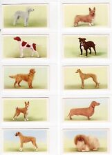 Spy dogs cards for sale  BRECON