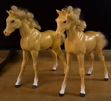 dream horse for sale dream horse for sale Hubbard